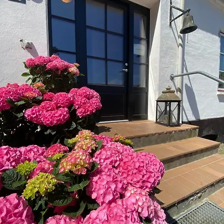 Bed & Breakfast Ronhave