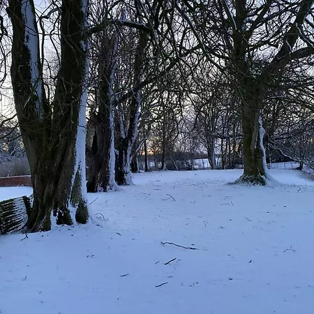 Ronhave Panzió Sønderborg