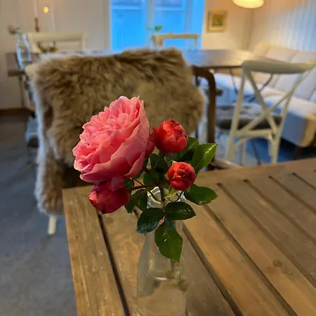 Ronhave Bed & Breakfast Sønderborg