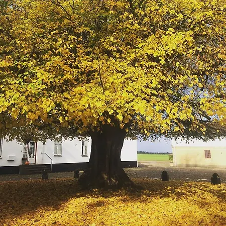 Ronhave 3* Sønderborg